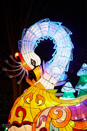Chinese Lantern Festival in Columbus