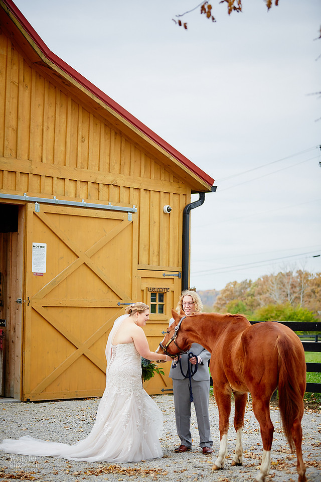 Emily & Colin: Wedding at Canopy Creek Farm in Miamisburg, Ohio