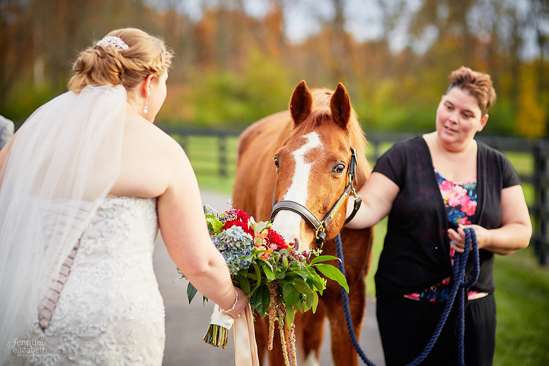Emily & Colin: Wedding at Canopy Creek Farm in Miamisburg, Ohio