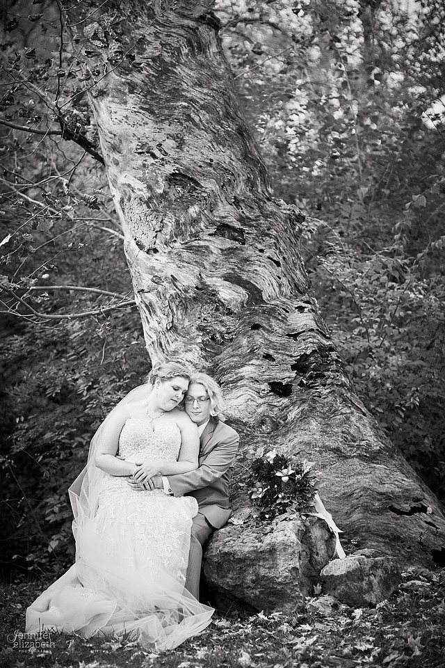 Emily & Colin: Wedding at Canopy Creek Farm in Miamisburg, Ohio