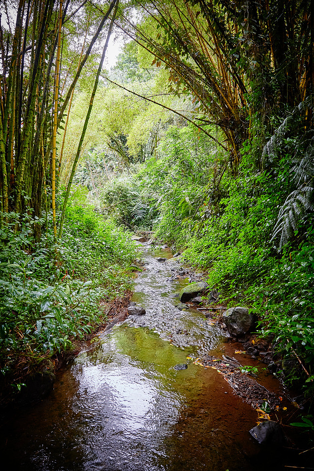 The Big Island of Hawaii 2018