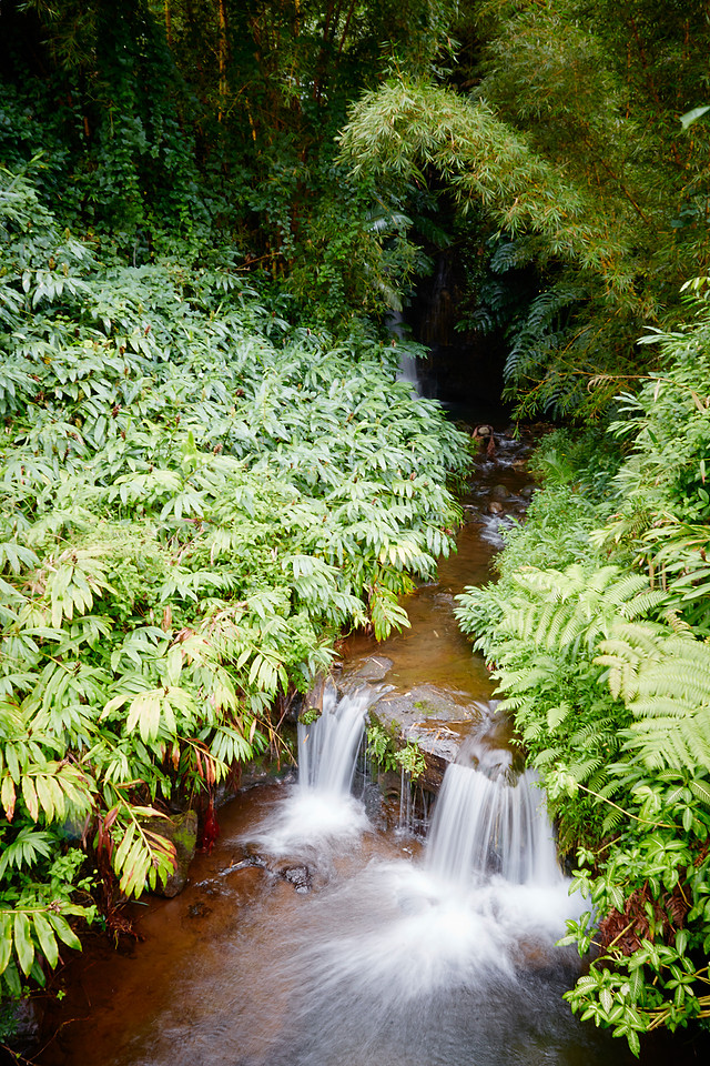 The Big Island of Hawaii 2018