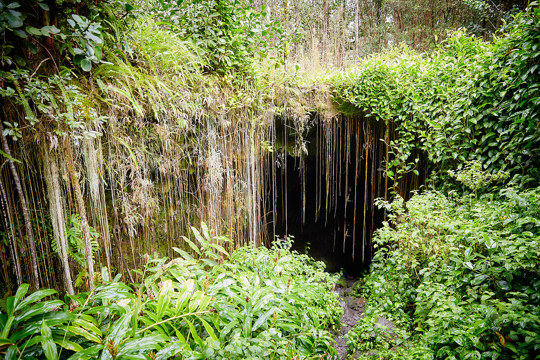 The Big Island of Hawaii 2018