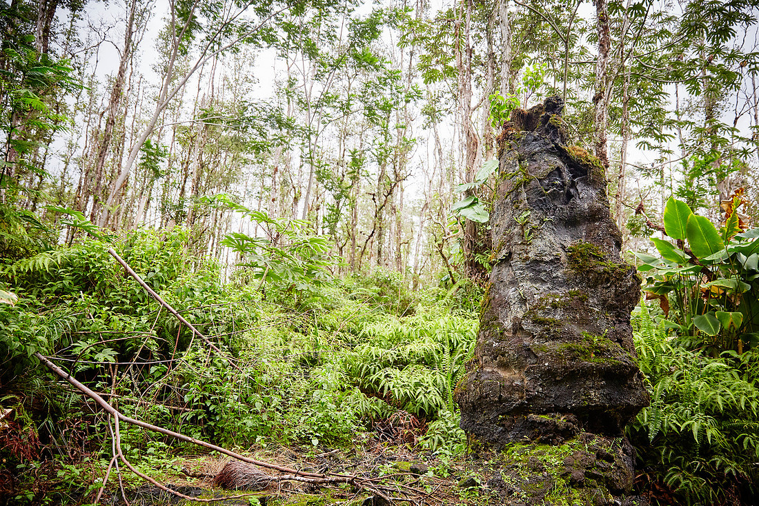 The Big Island of Hawaii 2018
