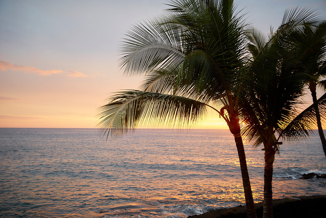 The Big Island of Hawaii 2018