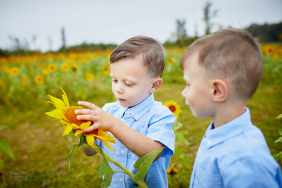 Sunflower Field Mini Sessions at Maria's Field of Hope