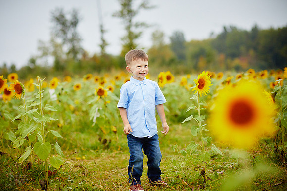 Sunflower Field Mini Sessions at Maria's Field of Hope