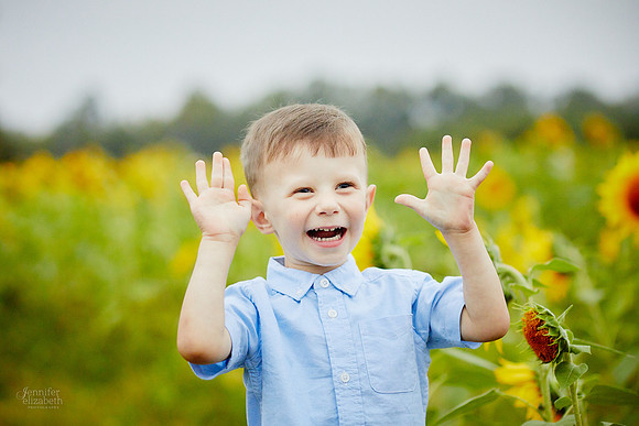 Sunflower Field Mini Sessions at Maria's Field of Hope
