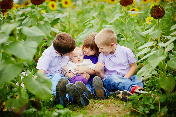 Sunflower Field Mini Sessions at Maria's Field of Hope