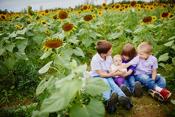 Sunflower Field Mini Sessions at Maria's Field of Hope