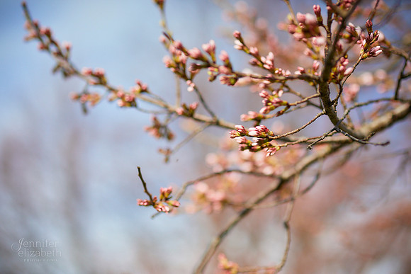 The G Family: Spring Portrait Session at Brookside Reservation
