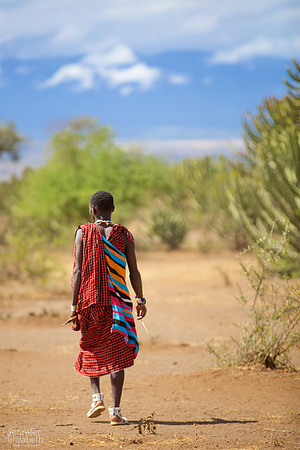 Tanzania and Victoria Falls Travel Photography