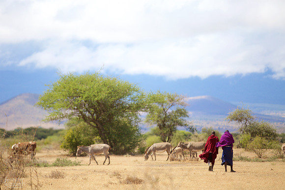 Tanzania and Victoria Falls Travel Photography