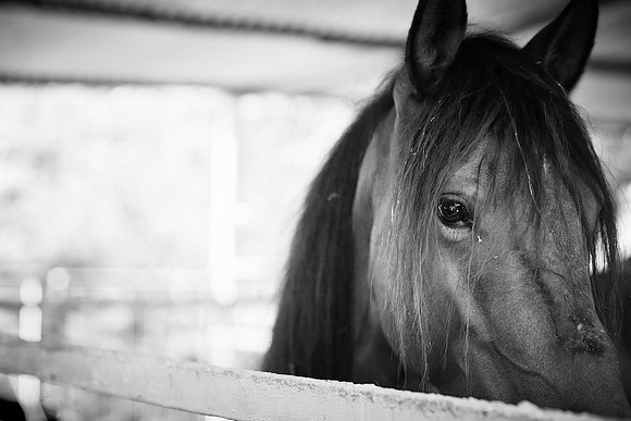 Cartagena de Indias, Colombia
