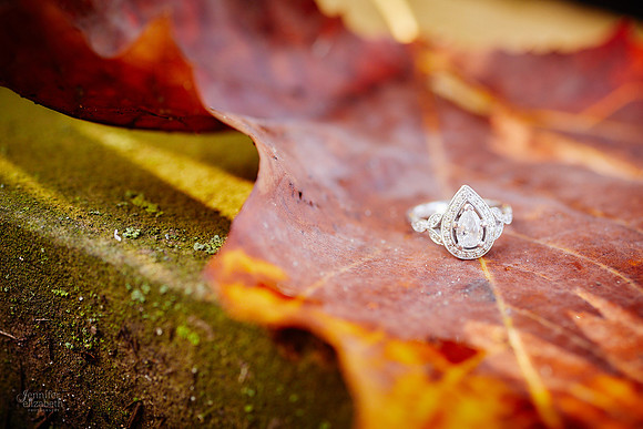 Grace & Gabe: Engagement Session at Wade Oval near the Cleveland Museum of Art