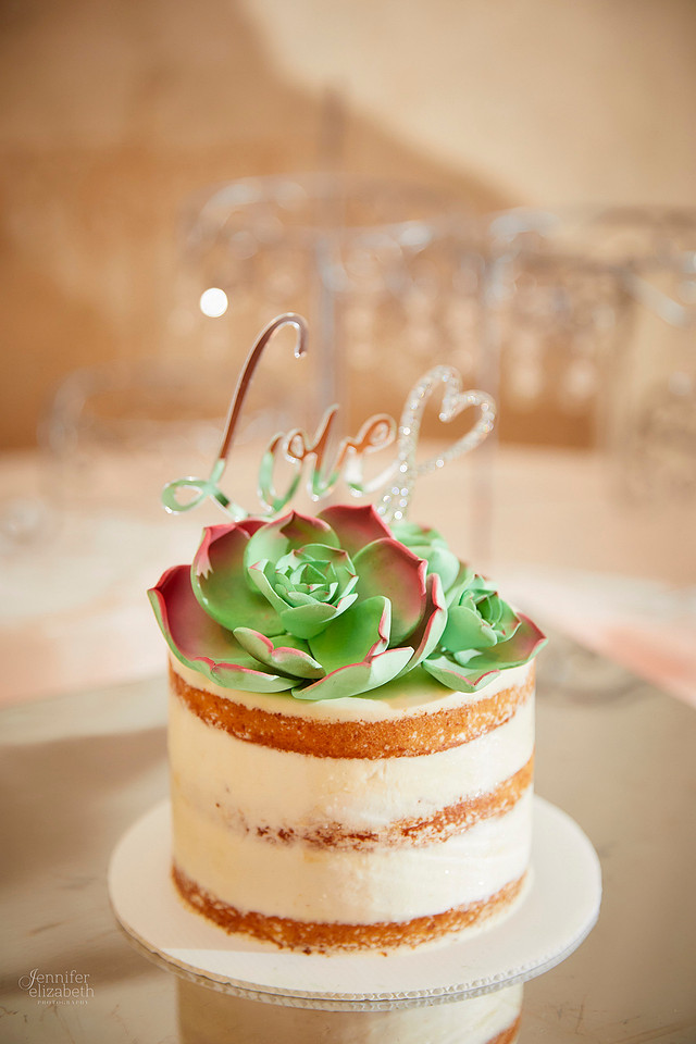 Melissa & Matt: Wedding at Twinhaven Reception Hall