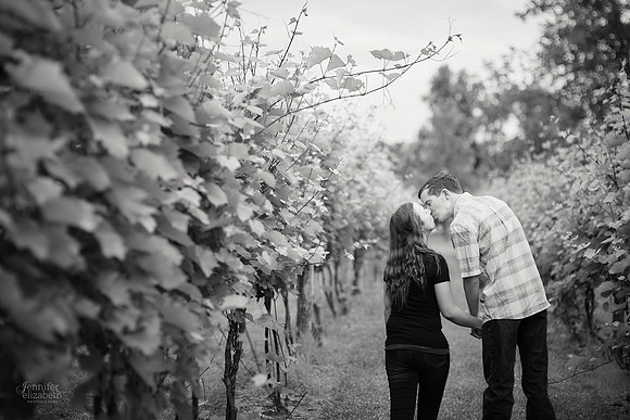 Julia & Brandon: Surprise Proposal at Gervasi Vineyard