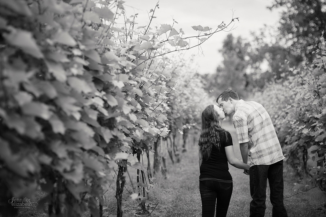 Julia & Brandon: Surprise Proposal at Gervasi Vineyard