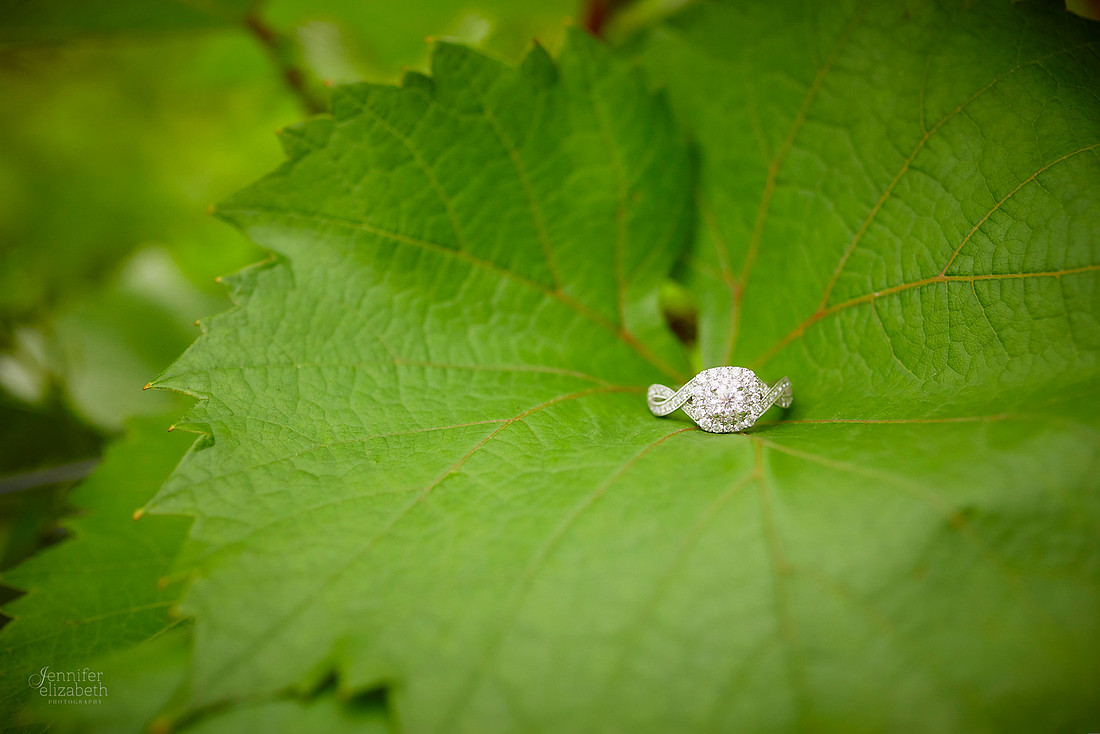 Julia & Brandon: Surprise Proposal at Gervasi Vineyard