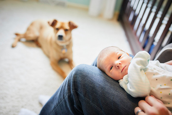 Baby Nolan: Lifestyle Newborn Session in Walton Hills, Ohio