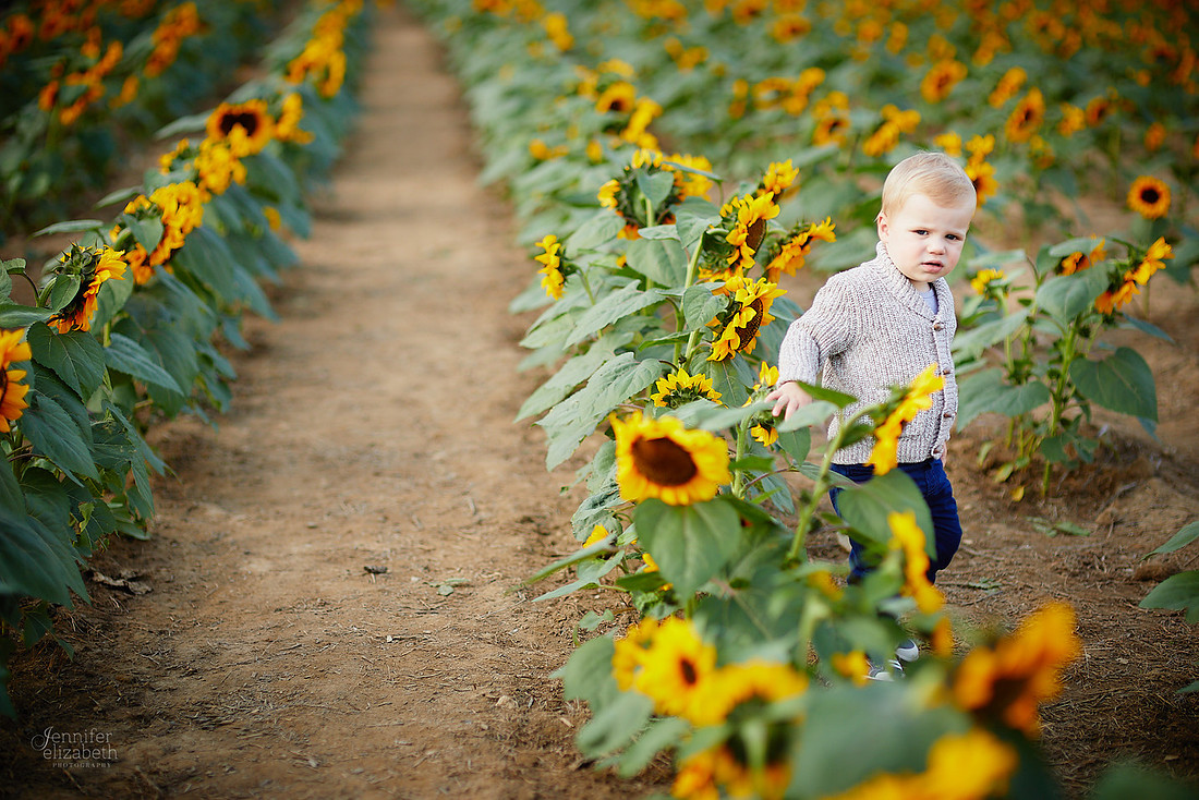 Sunflower Portrait Sessions at Maria's Field of Hope in Avon