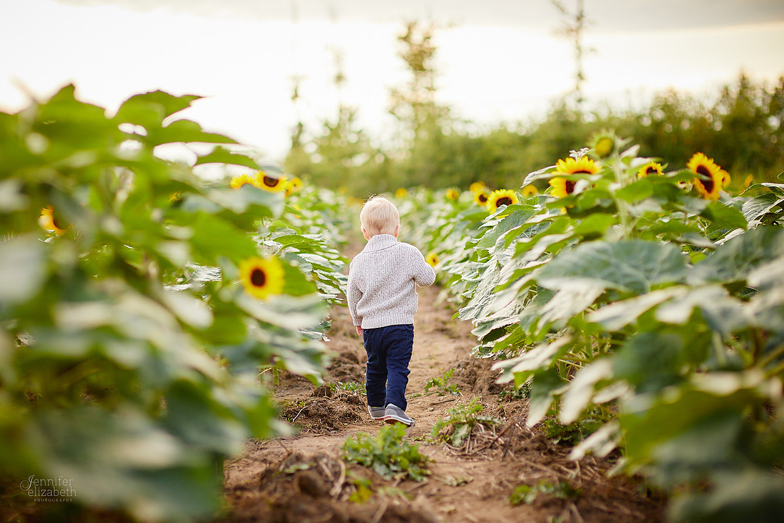 Sunflower Portrait Sessions at Maria's Field of Hope in Avon