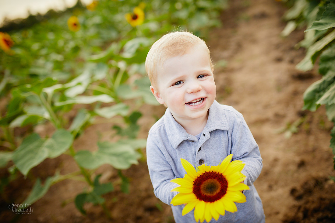 Sunflower Portrait Sessions at Maria's Field of Hope in Avon