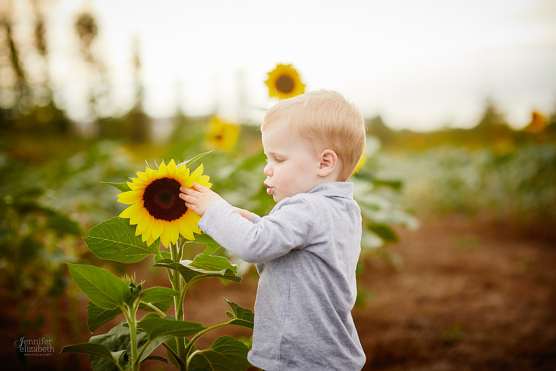 Sunflower Portrait Sessions at Maria's Field of Hope in Avon