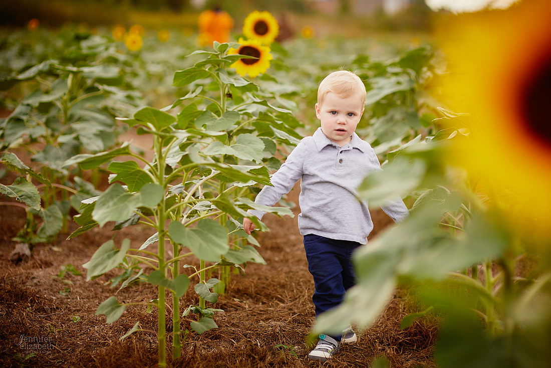 Sunflower Portrait Sessions at Maria's Field of Hope in Avon