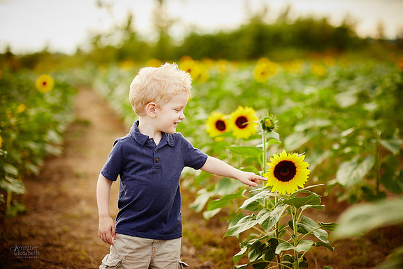 Sunflower Portrait Sessions at Maria's Field of Hope in Avon