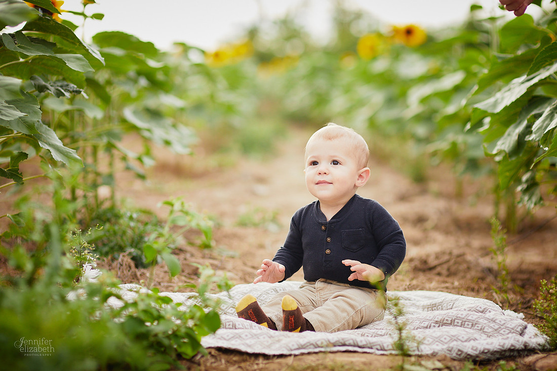 Sunflower Portrait Sessions at Maria's Field of Hope in Avon