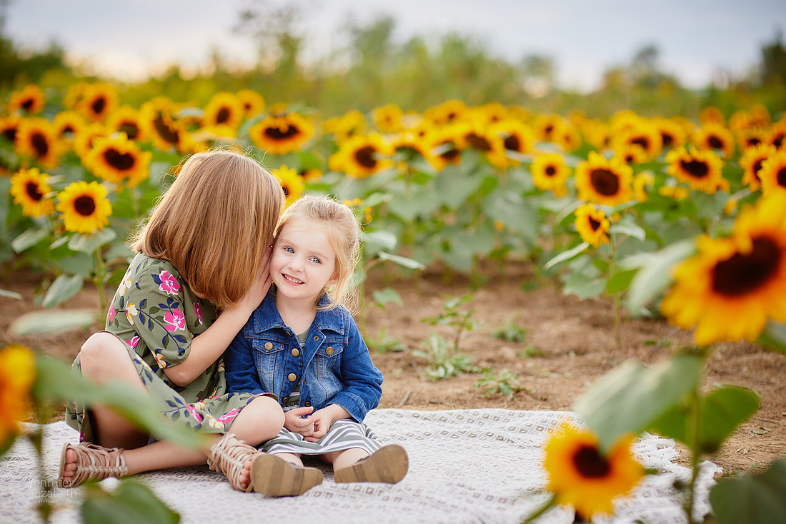 Sunflower Portrait Sessions at Maria's Field of Hope in Avon
