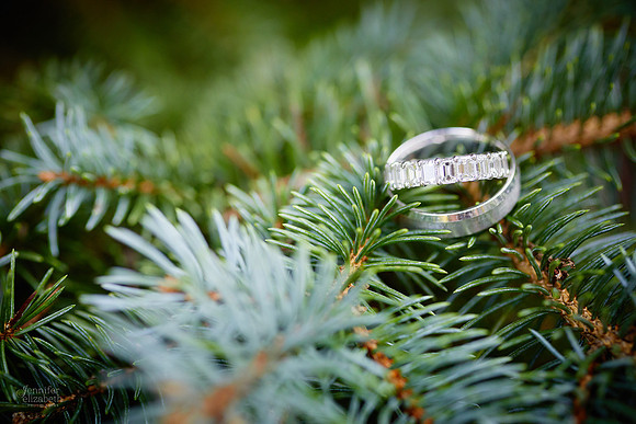 Lauren & Rizwan: Wedding Reception at Landerhaven Executive Caterers