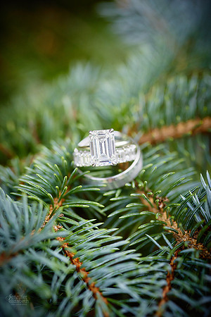 Lauren & Rizwan: Wedding Reception at Landerhaven Executive Caterers
