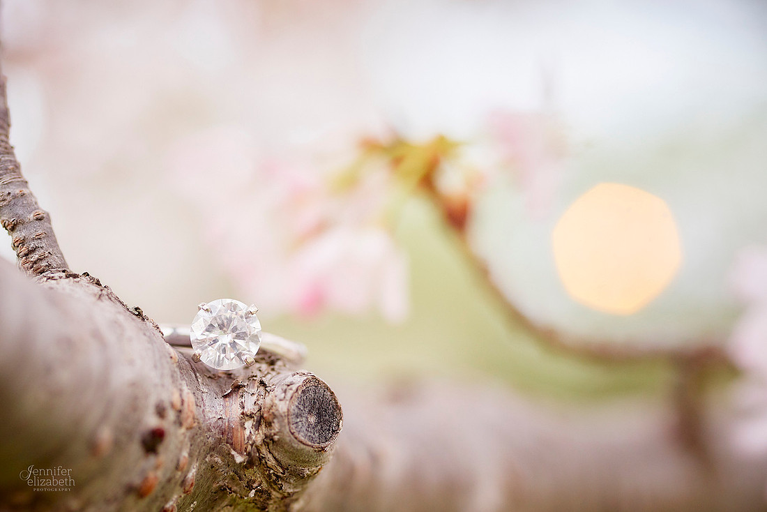 Tara & Pat: Engagement Session at the Cleveland Museum of Art and Wade Oval