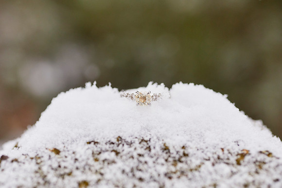 Emily & Brett: Winter Engagement in Brecksville Reservation