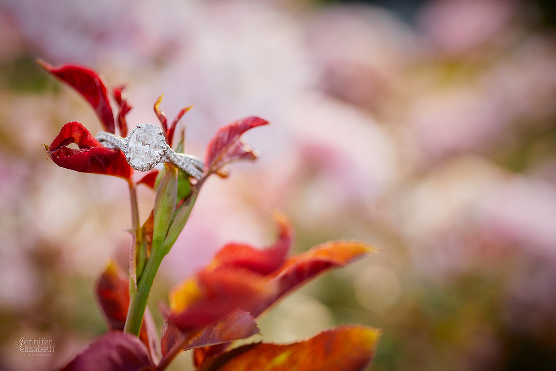 Stephanie & Vick: Engagement at Schoepfle Gardens