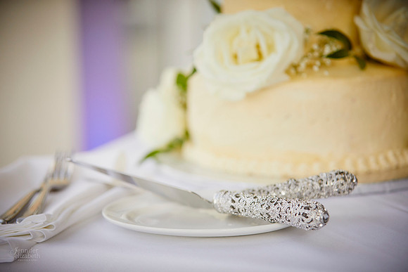 Emily & Brett: Great Lakes Science Center Wedding in Cleveland