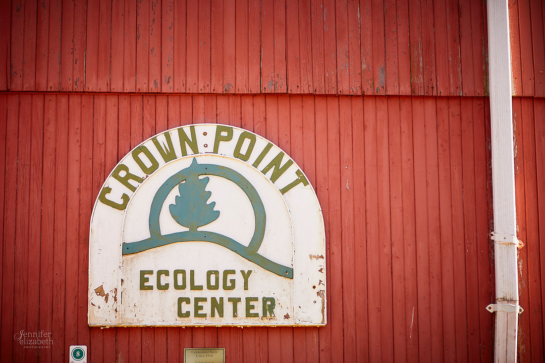 Liz & Zach: Wedding at Crown Point Ecology Center