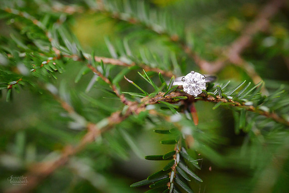 Brittany & Kyle: Engagement Session at David Fortier Park in Olmsted Falls