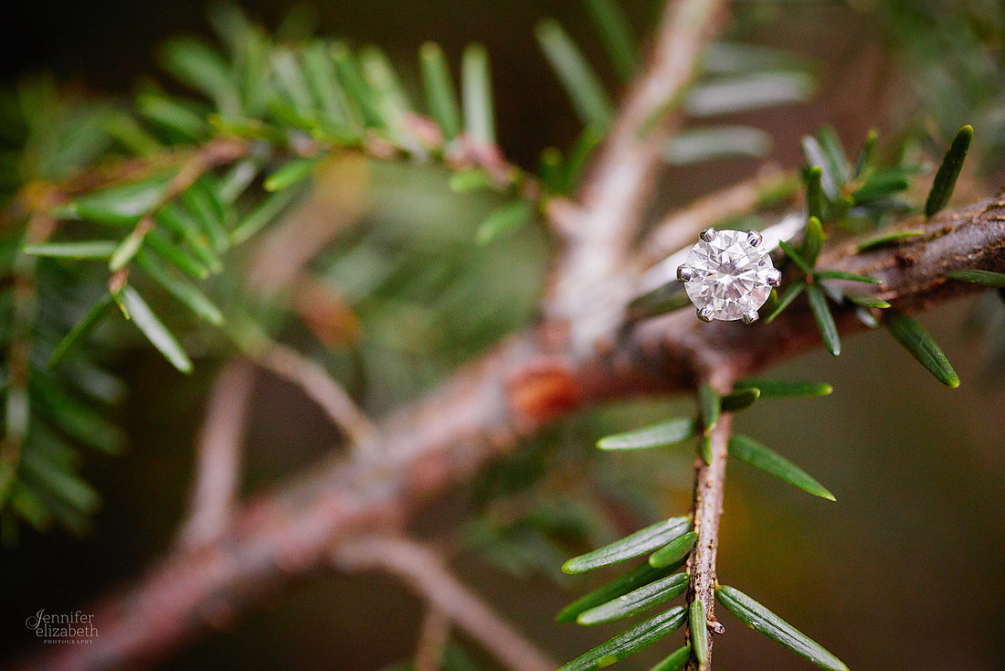 Brittany & Kyle: Engagement Session at David Fortier Park in Olmsted Falls