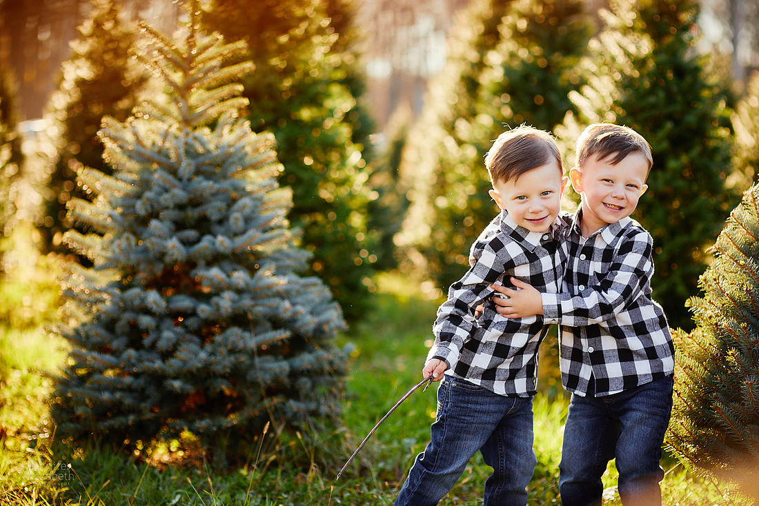 Holiday Tree Farm Mini Portrait Sessions at Sugar Pines Farm in Chesterland, Ohio