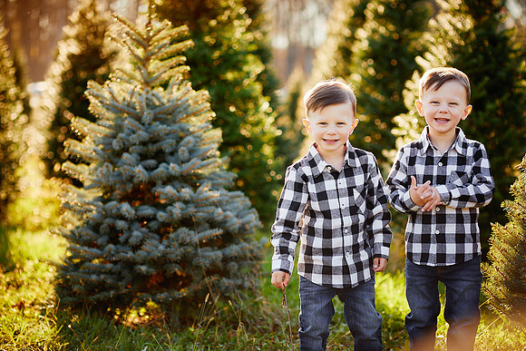 Holiday Tree Farm Mini Portrait Sessions at Sugar Pines Farm in Chesterland, Ohio