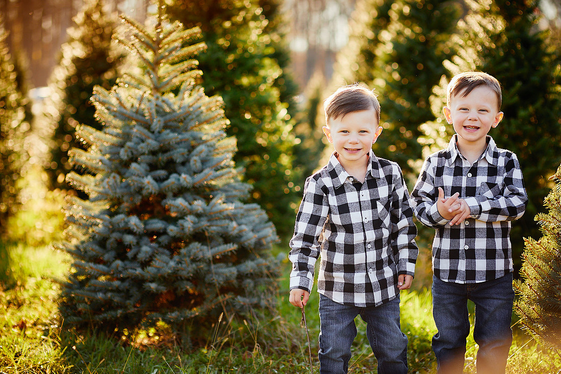 Holiday Tree Farm Mini Portrait Sessions at Sugar Pines Farm in Chesterland, Ohio