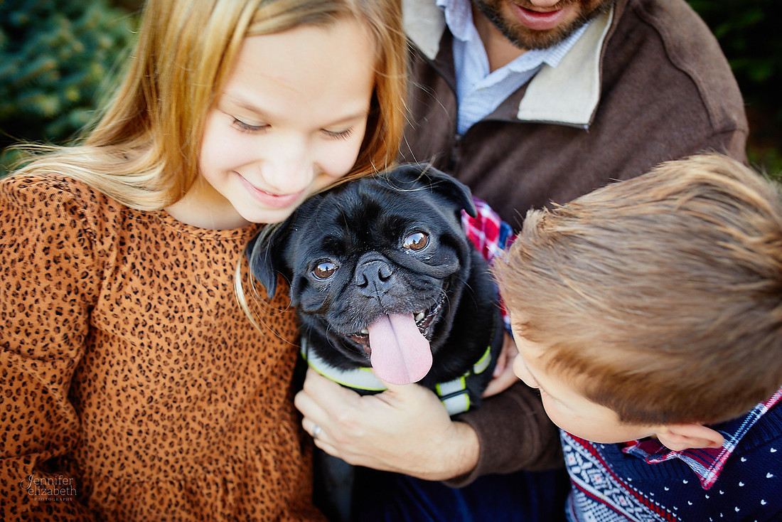 Holiday Tree Farm Mini Portrait Sessions at Sugar Pines Farm in Chesterland, Ohio