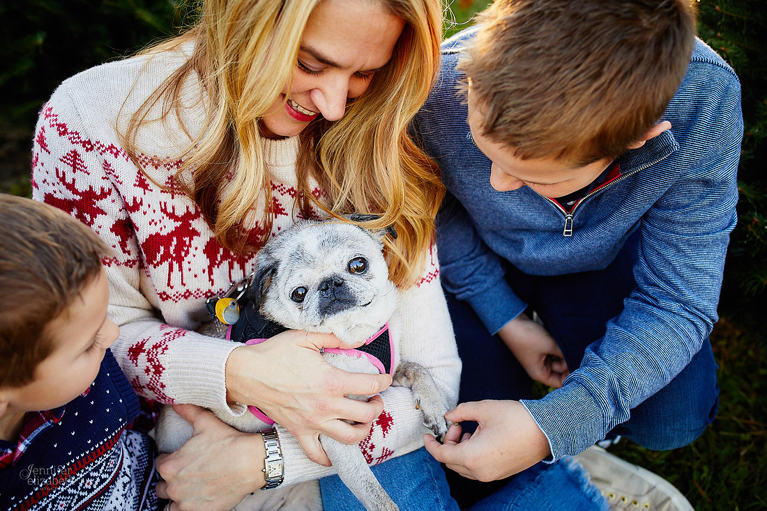 Holiday Tree Farm Mini Portrait Sessions at Sugar Pines Farm in Chesterland, Ohio