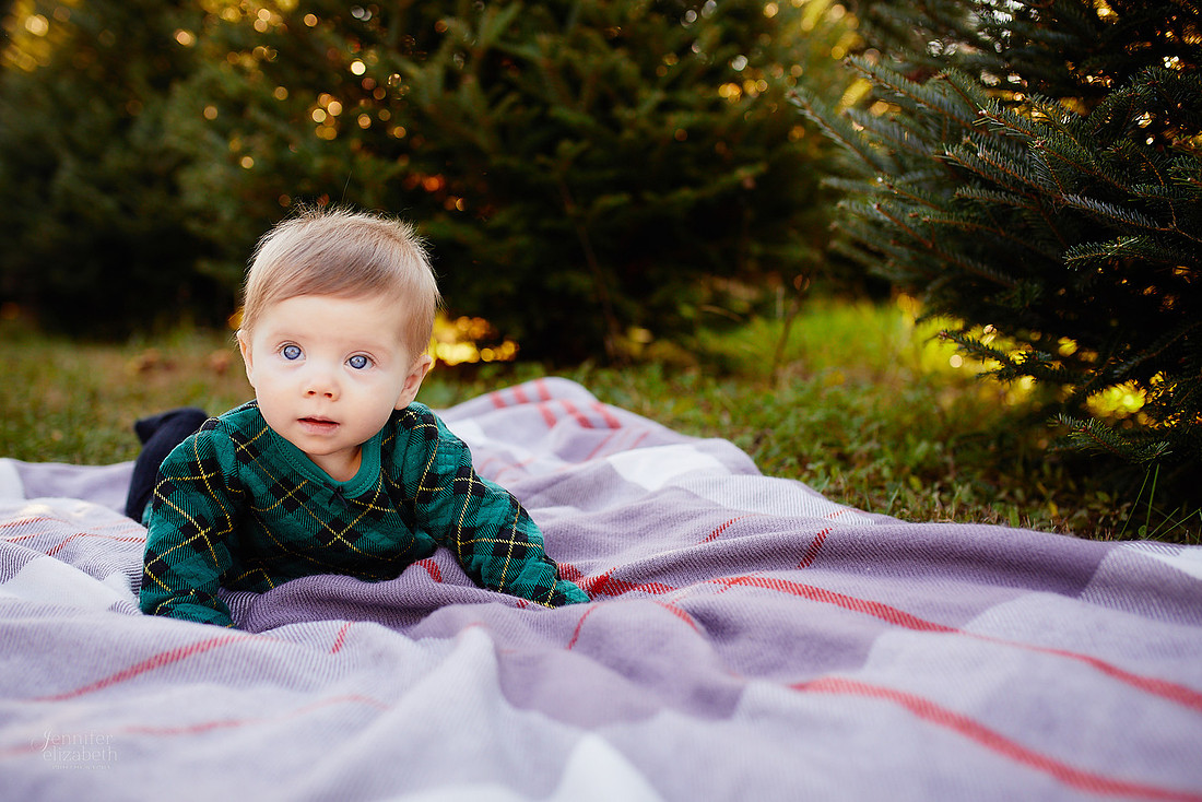 Holiday Tree Farm Mini Portrait Sessions at Sugar Pines Farm in Chesterland, Ohio