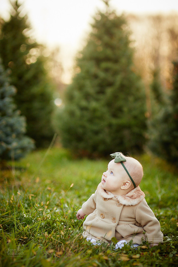 Holiday Tree Farm Mini Portrait Sessions at Sugar Pines Farm in Chesterland, Ohio