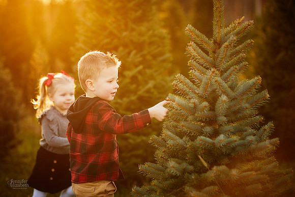 Holiday Tree Farm Mini Portrait Sessions at Sugar Pines Farm in Chesterland, Ohio