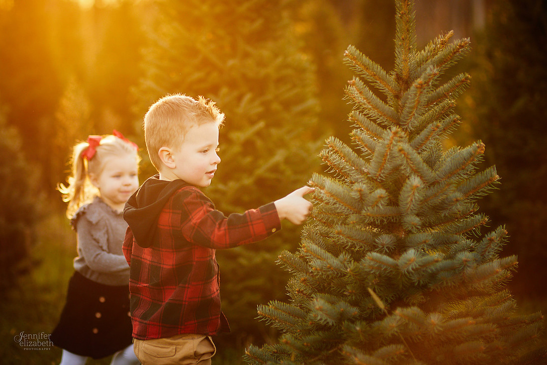 Holiday Tree Farm Mini Portrait Sessions at Sugar Pines Farm in Chesterland, Ohio